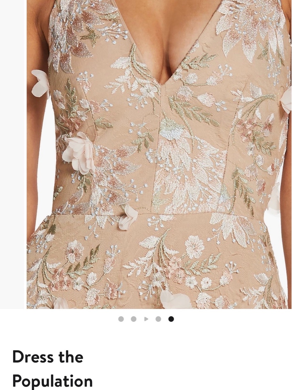 Dress the Population Embroidered Floral V-Neck Prom Gown in Blush and Ivory